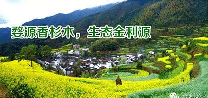 金利源板材/金品質 源生態.從源頭精挑細選，為品質保駕護航——中國板材十大品牌品質篇